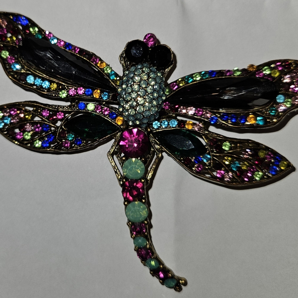 4" Dragonfly Broach